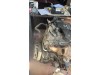 Mitsubishi L200 Euro 5 çıkma motor 