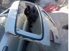 Hyundai Starex arka bagaj kapağı 