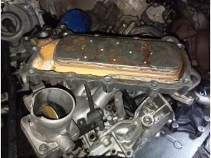 Sorento 140/170 lik yağ soğutucu su 