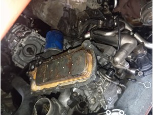 Kia Sorento yağ soğutucu su 