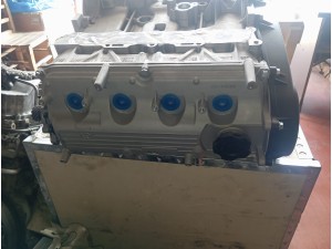 suzuki benzinli motor 